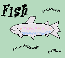 fish4fun