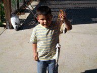 A Young Angler with his catch.